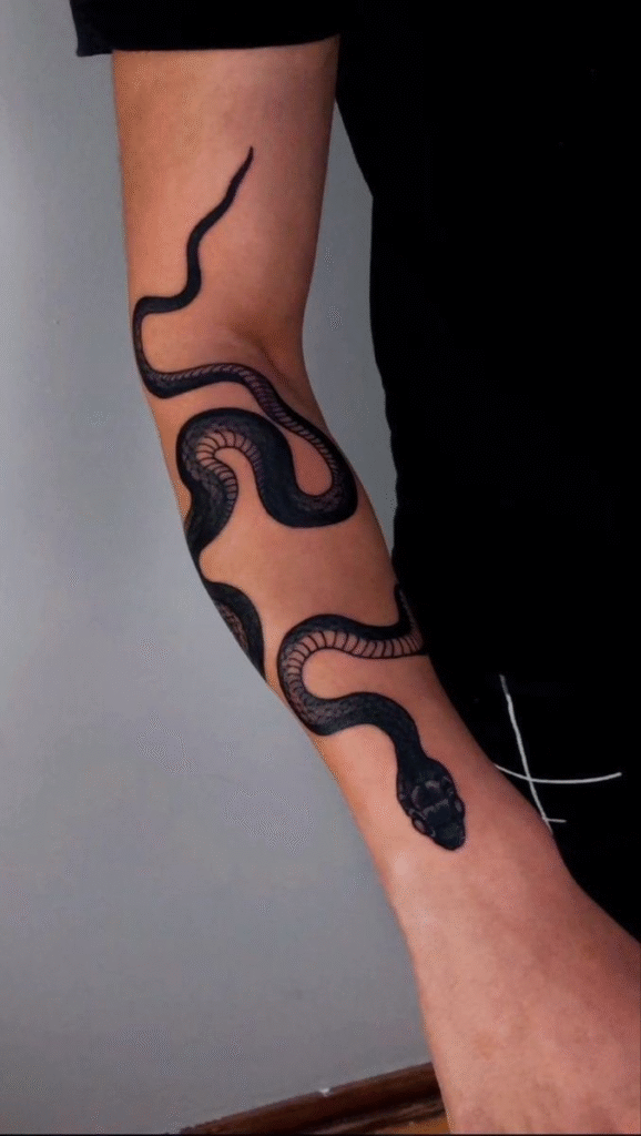 Snake Wrapped Around Arm